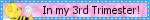 3rdtri.gif