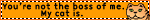 catboss.gif