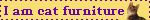 catfurn.gif