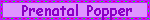 prenat.gif